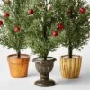 3pc Decorative Potted Faux Greenery Tree - Wondershop™ -Christmas Supplies Store GUEST 14075050 d5a6 4ff4 b83d 36bcf78b0244