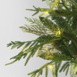 24" Pre-Lit Christmas Norfolk Cedar Artificial Greenery With Ground Stake - Wondershop™ -Christmas Supplies Store GUEST 517b159a ab98 4251 ad4a 9a78c2d8852a