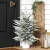3' Pre-Lit Potted Flocked And Glittered Norfolk Artificial Christmas Tree - Wondershop™ -Christmas Supplies Store GUEST 6f9df63f d6f9 48b6 82ce 43fbb803932e