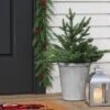 20" Pre-lit LED Battery Operated Mixed Pine Mini Christmas Artificial Pot Filler Warm White Lights - Wondershop™: Indoor/Outdoor -Christmas Supplies Store GUEST 8dc5022d d693 44e3 bc72 c2ca704d3d97