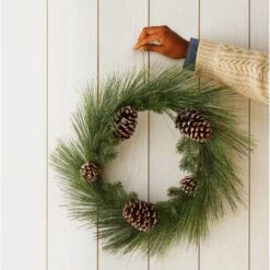 22in Unlit Iced Long Needle And Pinecone Artificial Christmas Wreath - Wondershop™ -Christmas Supplies Store GUEST 94c9df1c 4300 4424 915e 2fbf3b4b7eca