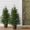 2pc 3' Pre-Lit Potted Balsam Fir Artificial Christmas Trees Warm LED White Lights - Wondershop™ -Christmas Supplies Store GUEST bafd6766 a2fc 4c0c a392 af7072b314af