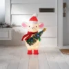 Incandescent Tinsel Mouse Christmas Novelty Sculpture Light With Clear/Multicolor Light Bulb - Wondershop™ -Christmas Supplies Store GUEST d0871e27 6bd8 4346 8ac2 1f7f18898994
