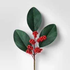 4pc Christmas Pick Set 2 Magnolia Leaf 2 Red Poinsettia - Wondershop™ -Christmas Supplies Store GUEST f4255727 4432 43e9 bc15 cf1d5326592b